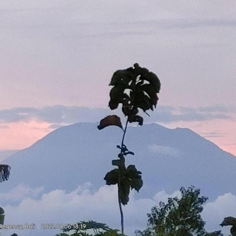 Villa Ume Tenang Nusa Penida Dış mekan fotoğraf